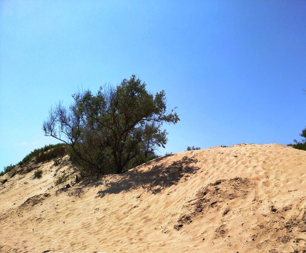 Photograph by Татьяна Гульпа