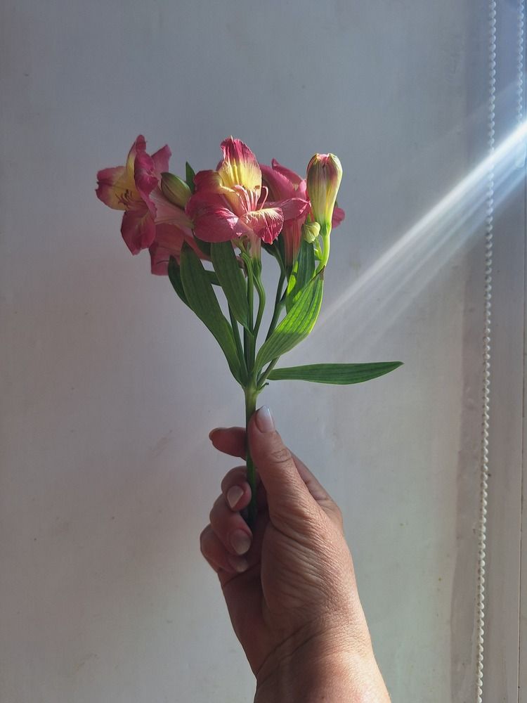 Photograph by Ольга