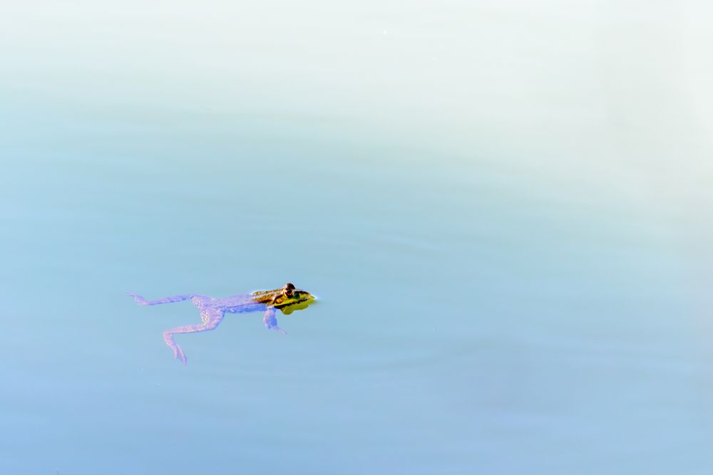 Photograph by Алексей Цыганов