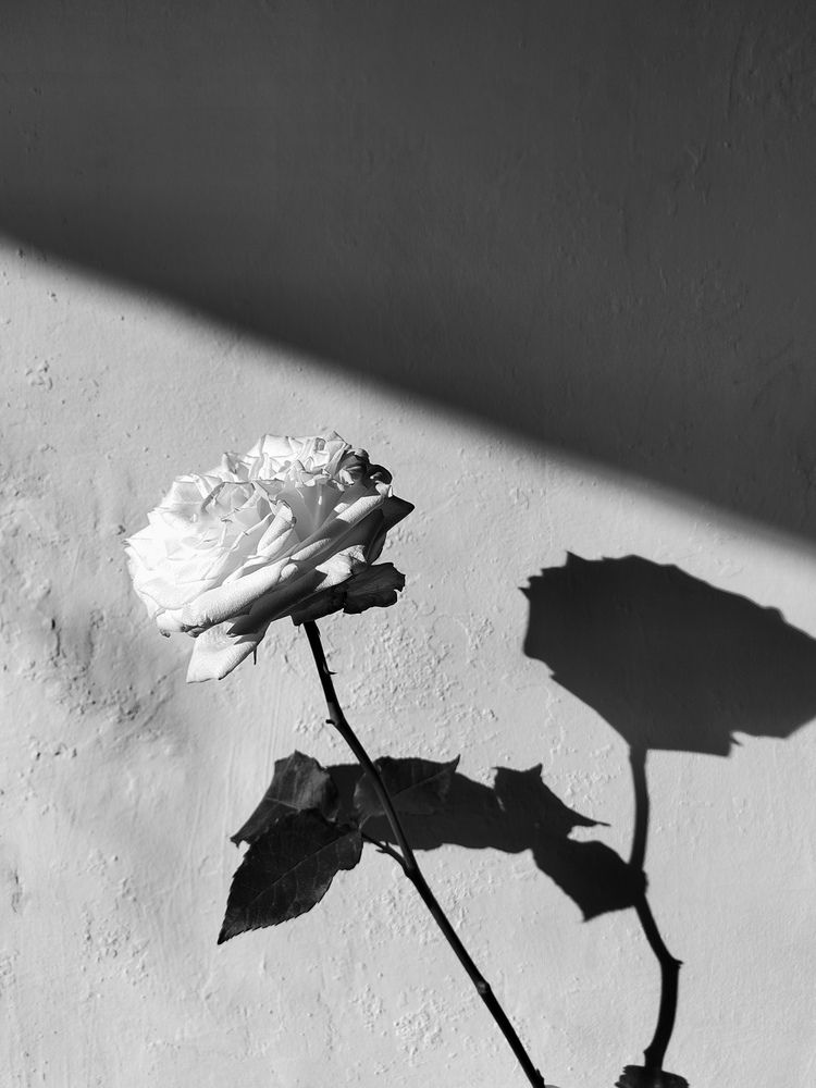 Photograph by Наталья Горовых