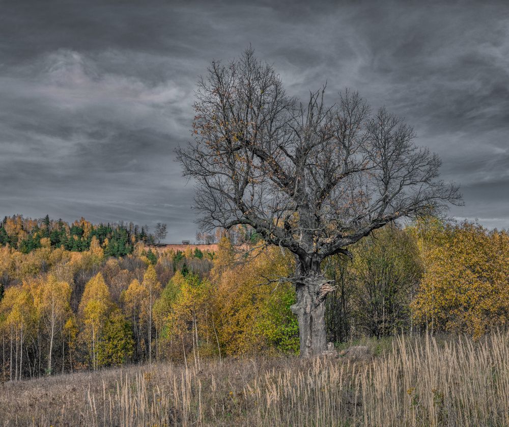 Photograph by Александр Сальников