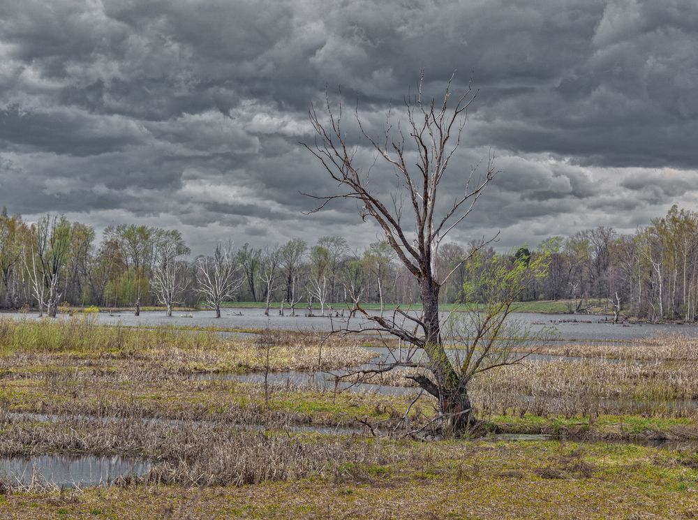 Photograph by Александр Сальников