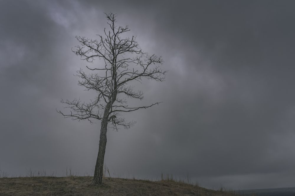 Photograph by Виктор Зотов