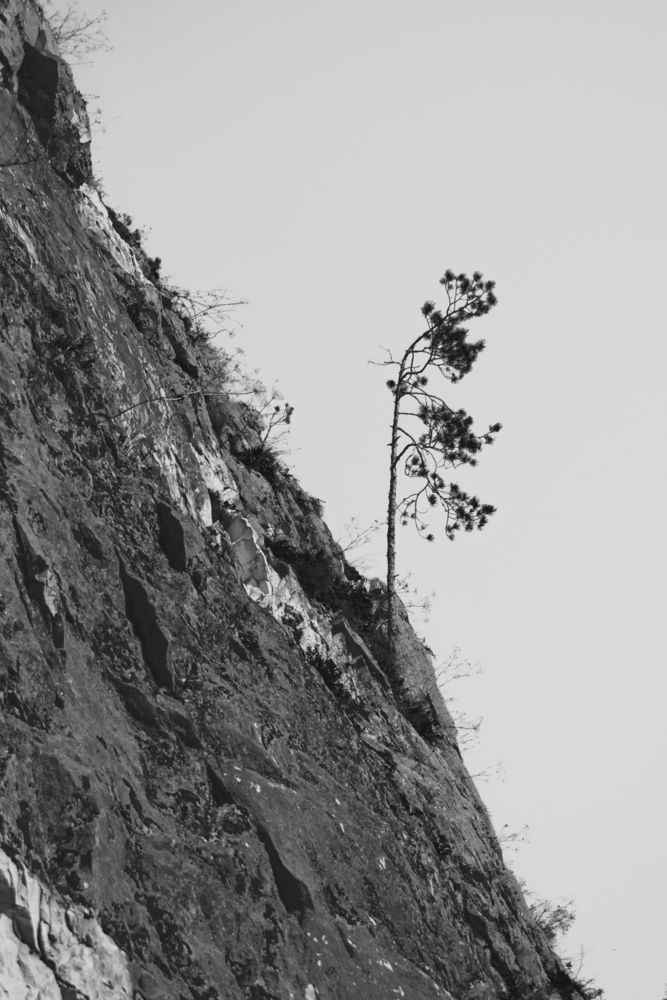 Photo #13675607