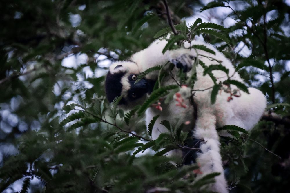 Photo #13675614