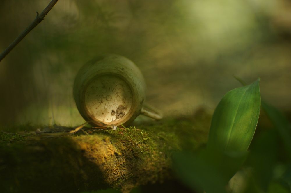 Photograph by Бахров Кирилл