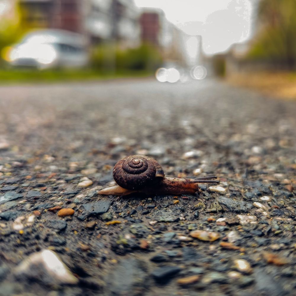 Photo #13675767