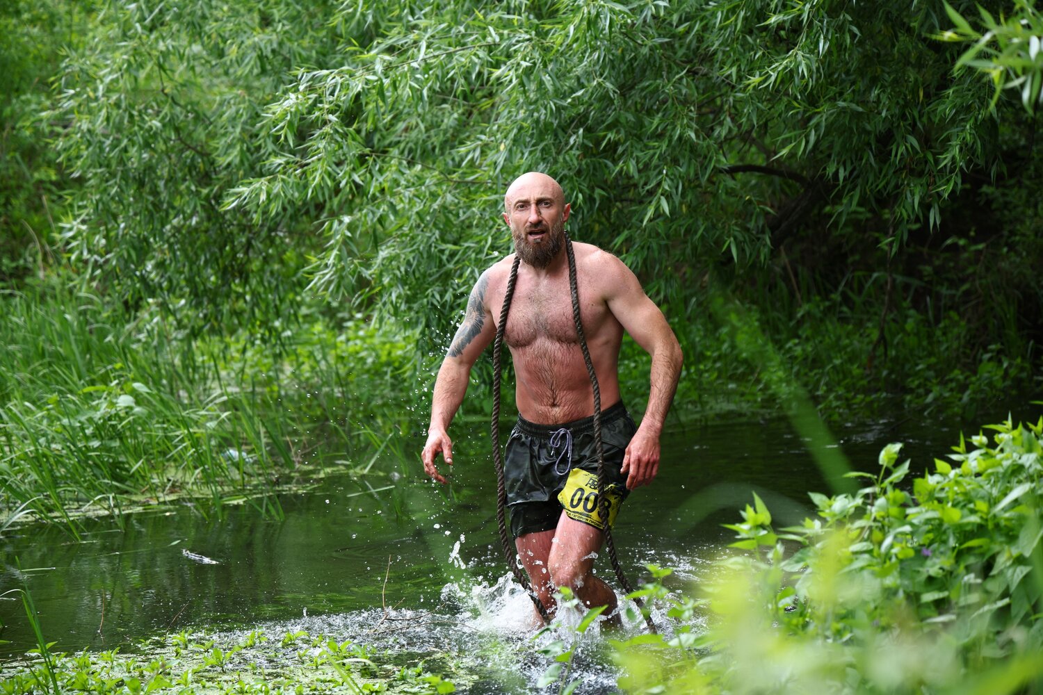 Photo #13675819