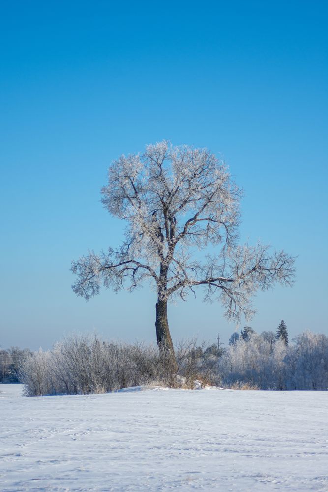 Photograph by Нина Шкляр