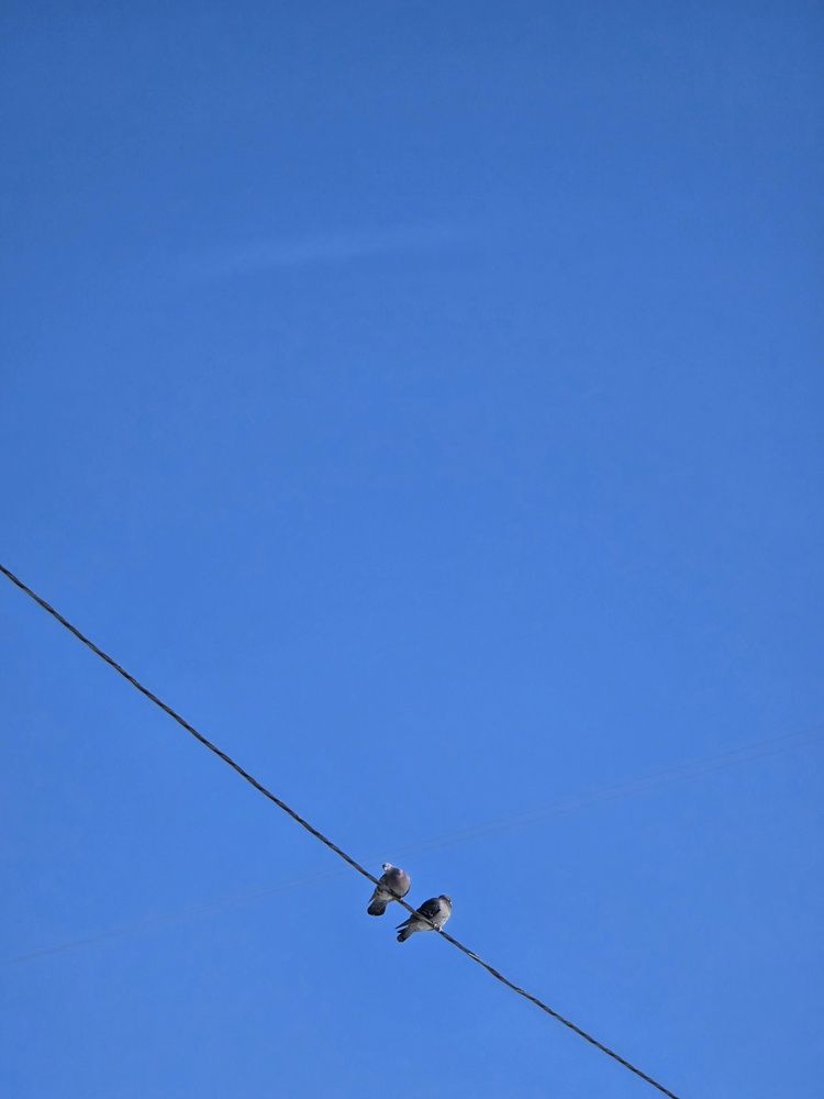 Photograph by Александра Воронина