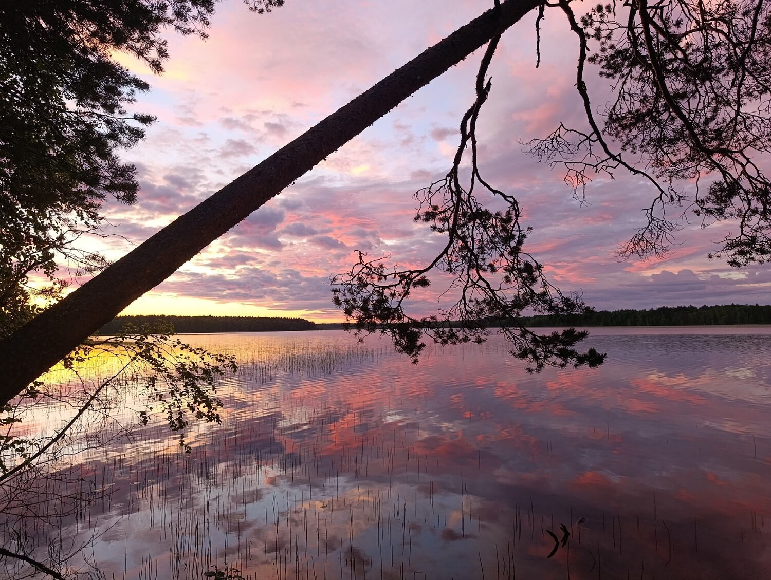 Photo #13675980