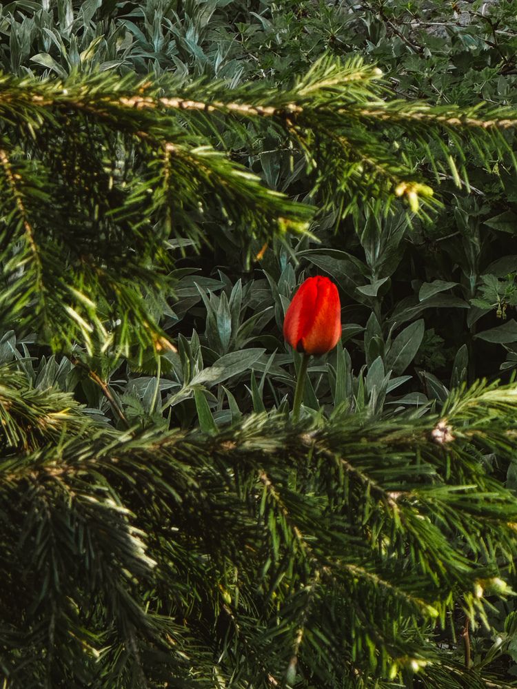 Photograph by Светлана Филатова