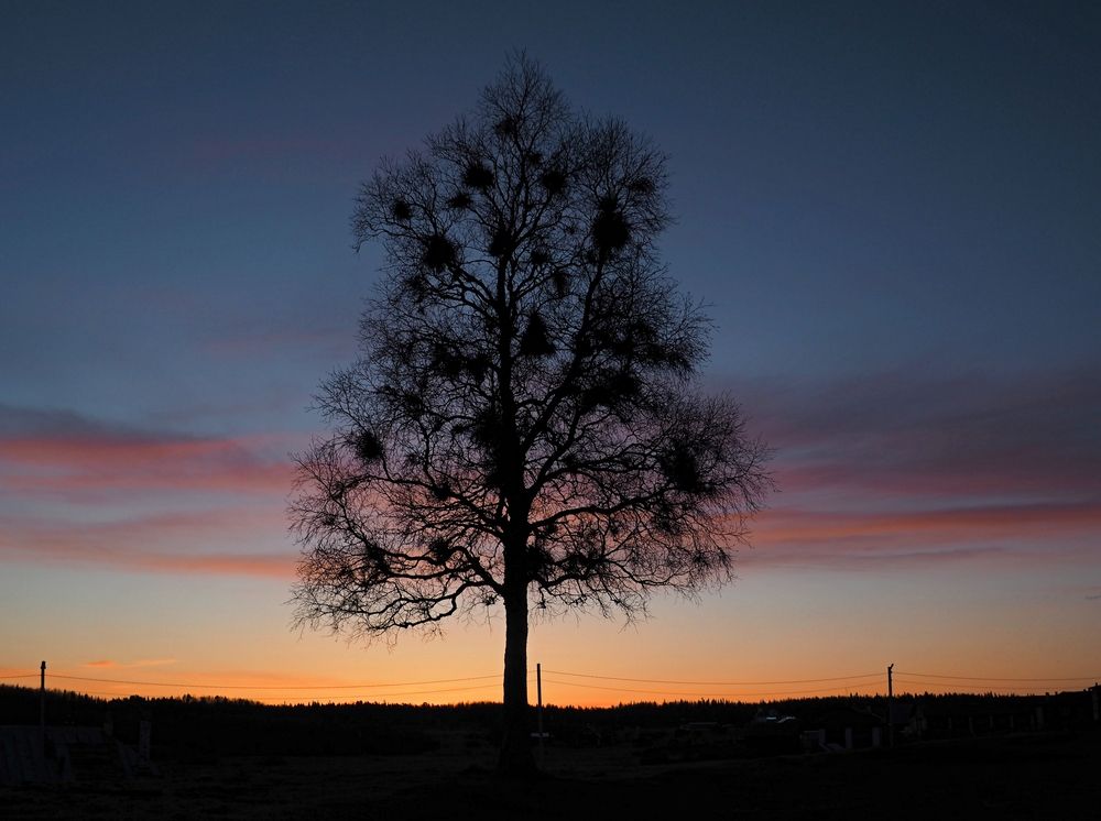 Photograph by Яковлев Евгений