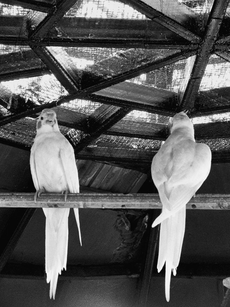 Photograph by VAIBHAV PAREKH