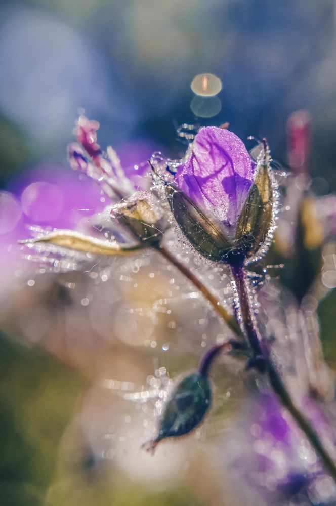 Photograph by Любовь Бусова