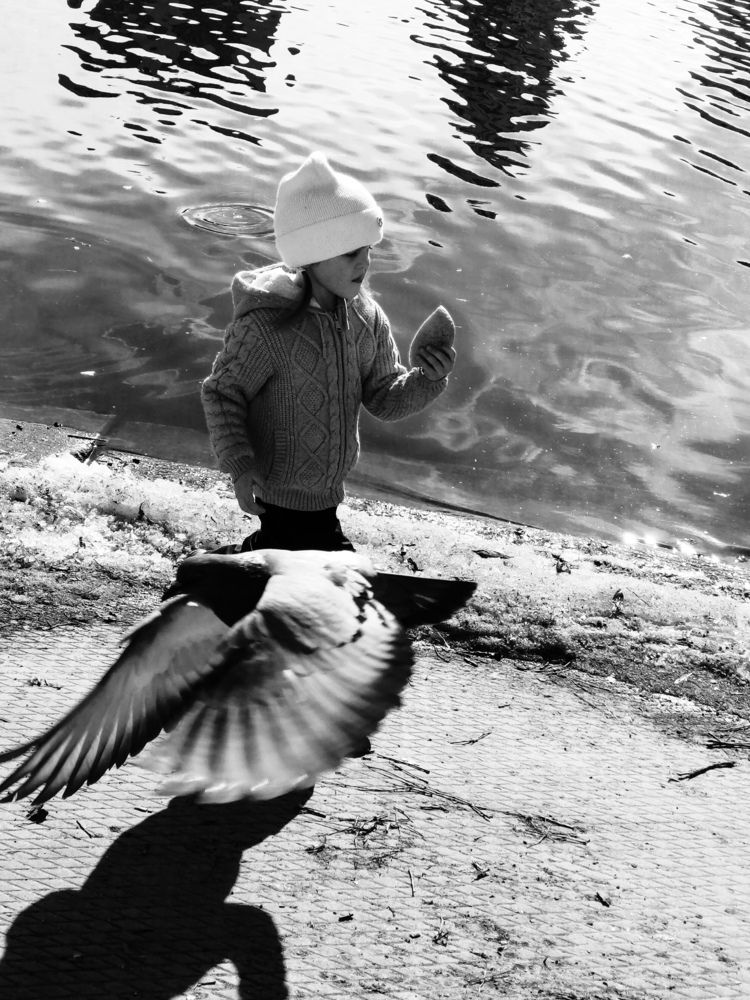 Photograph by Палкина Елена