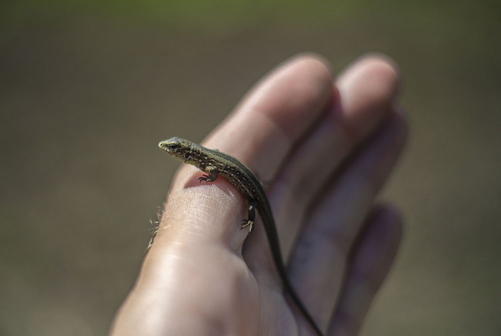 Photograph by Алексей Сиваков