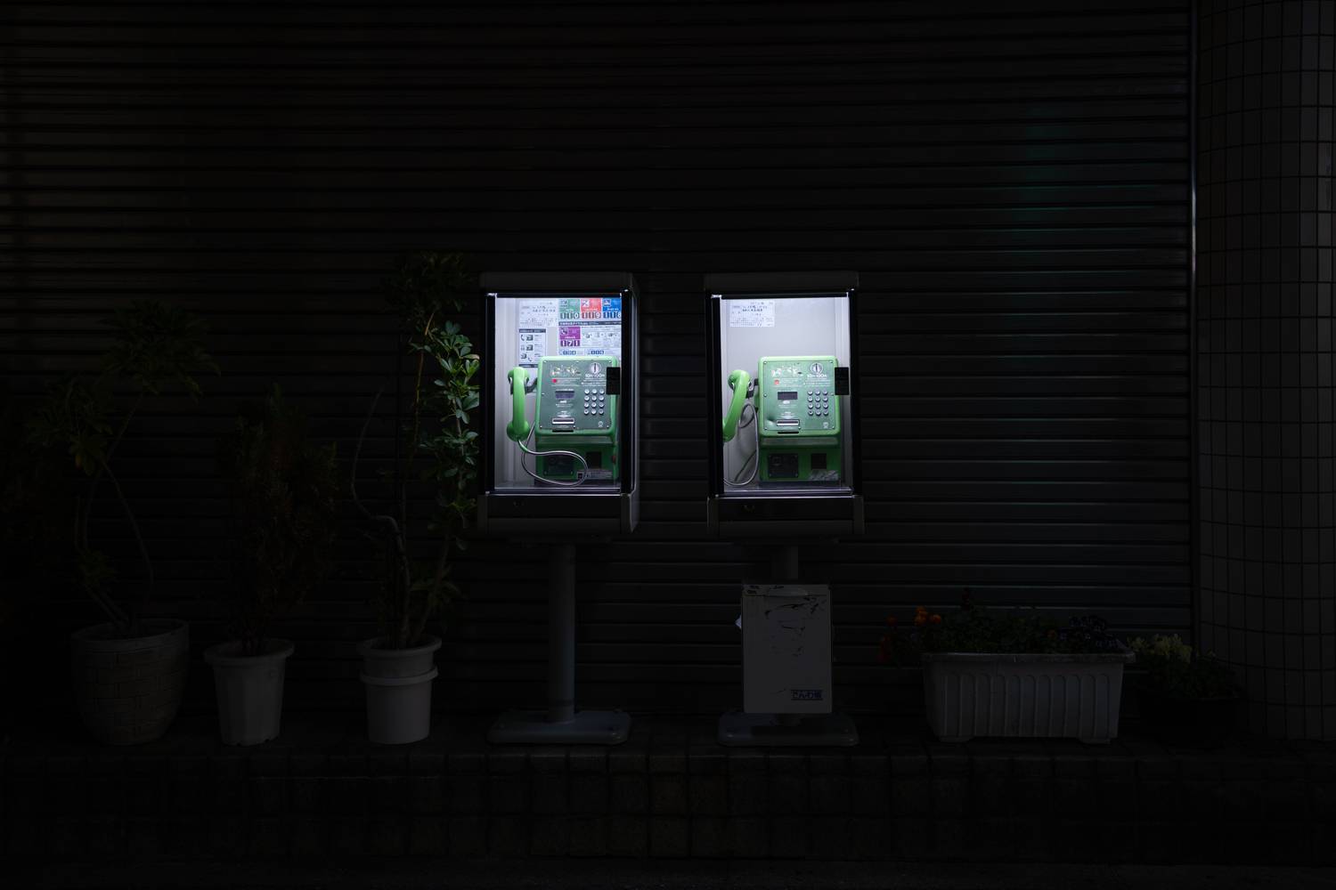 Photo #13676262