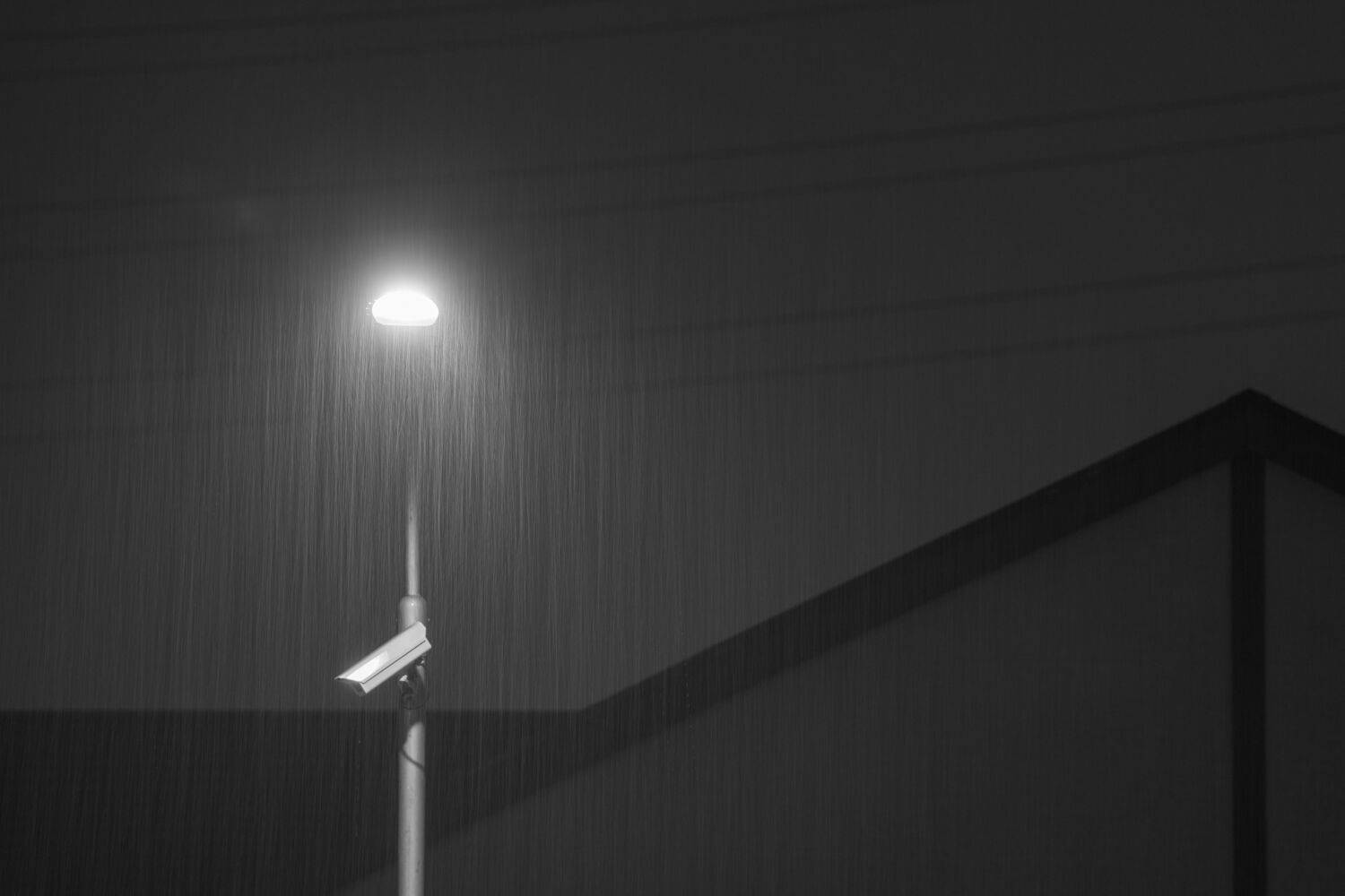 Photo #13676279