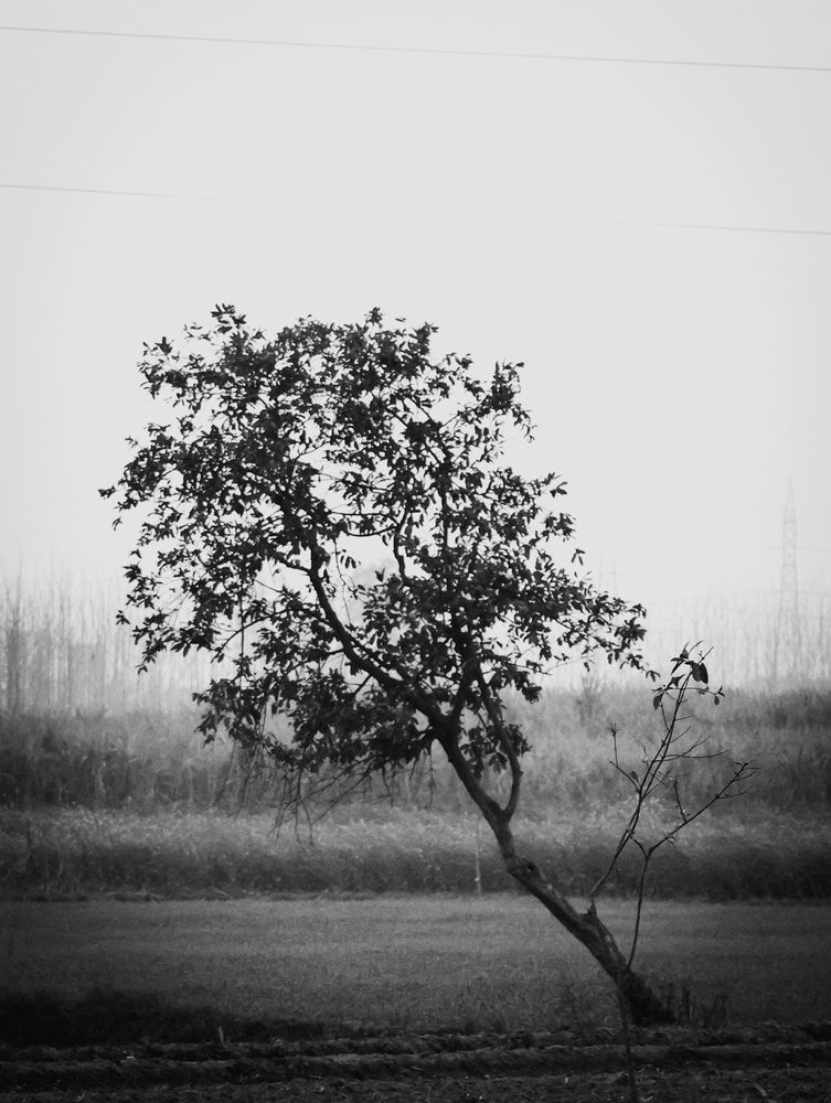 Photograph by Dhruv Jangid