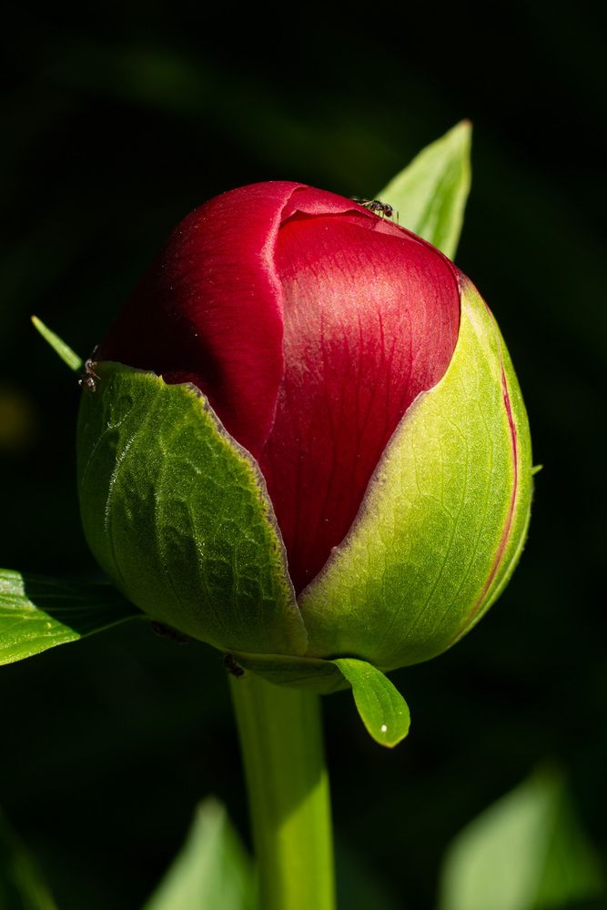 Photograph by Мария Данилина