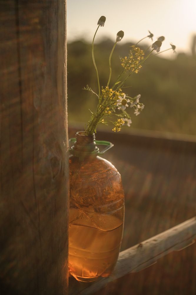 Photograph by Владимир Тузлай