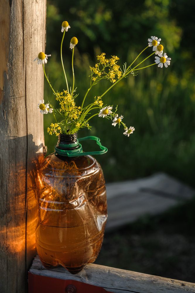 Photograph by Владимир Тузлай