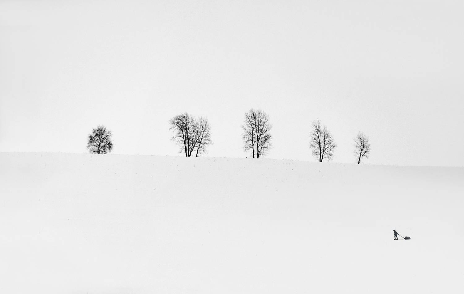 Photo #13676390