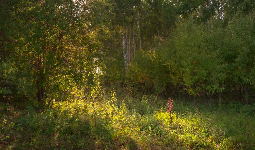 Photograph by Валерий Туманов