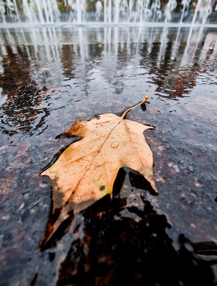 Photograph by Татьяна Сиволобова