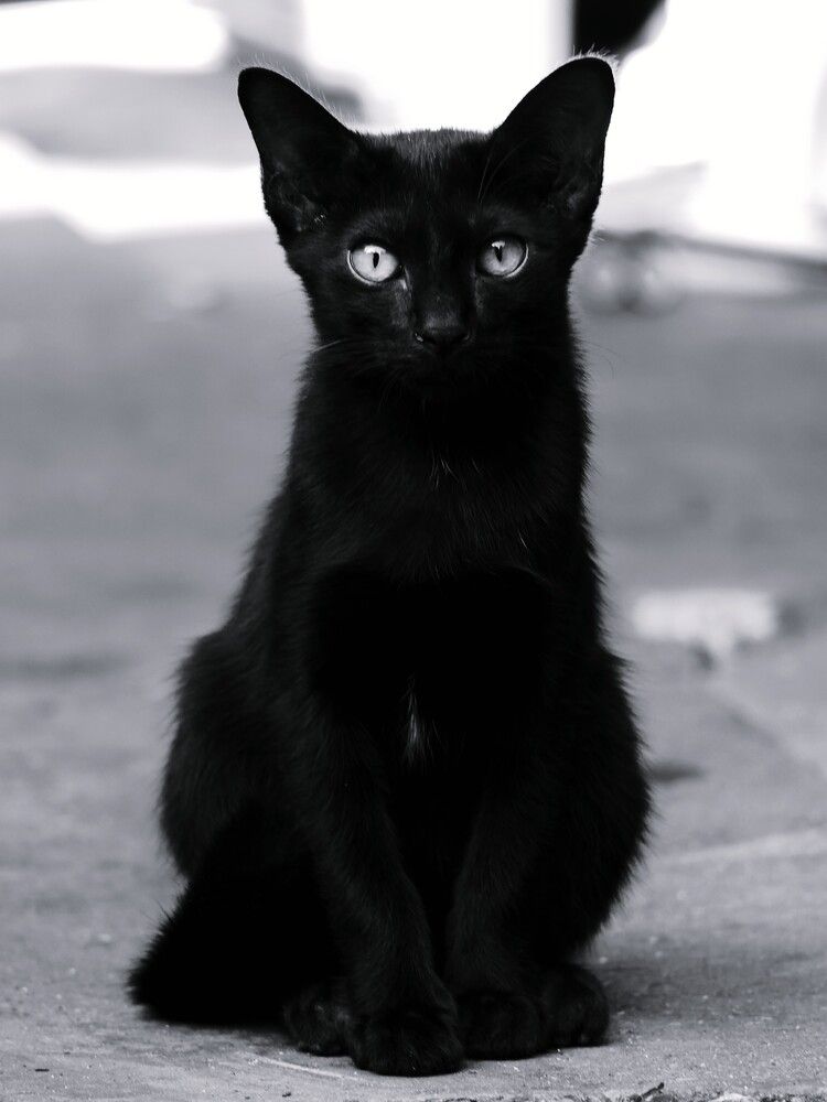 Photograph by Владимир Зубанков