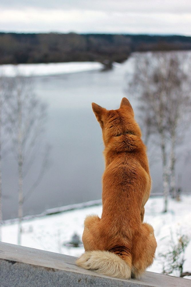 Photograph by Екатерина Зязина