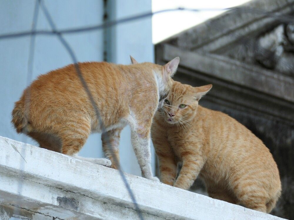 Photograph by Владимир Зубанков