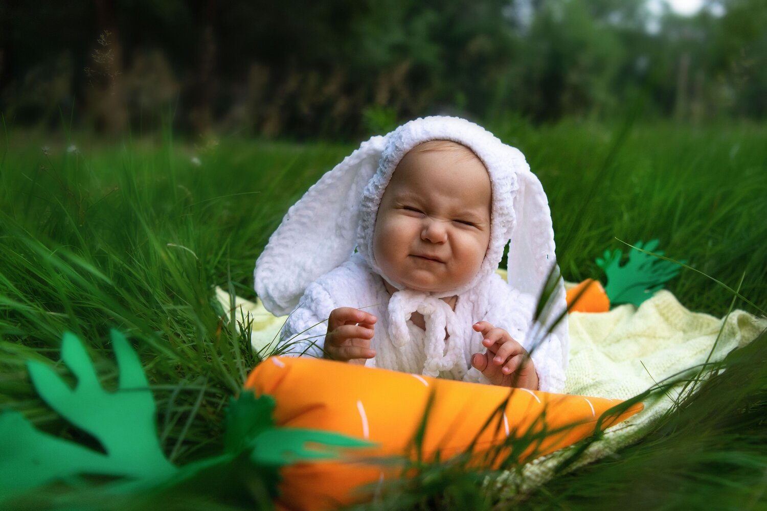 Photo #13676739
