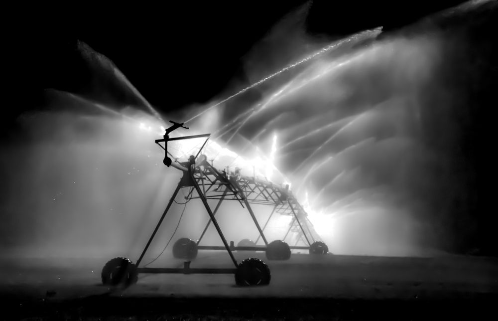 Photograph by ANDREA DUBLASKI