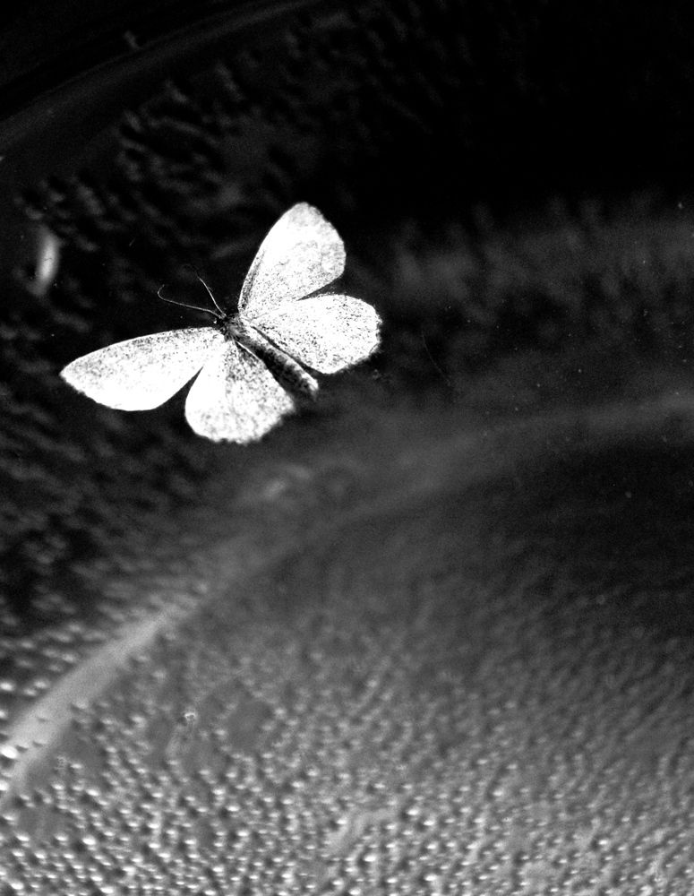 Photograph by Любовь Должикова