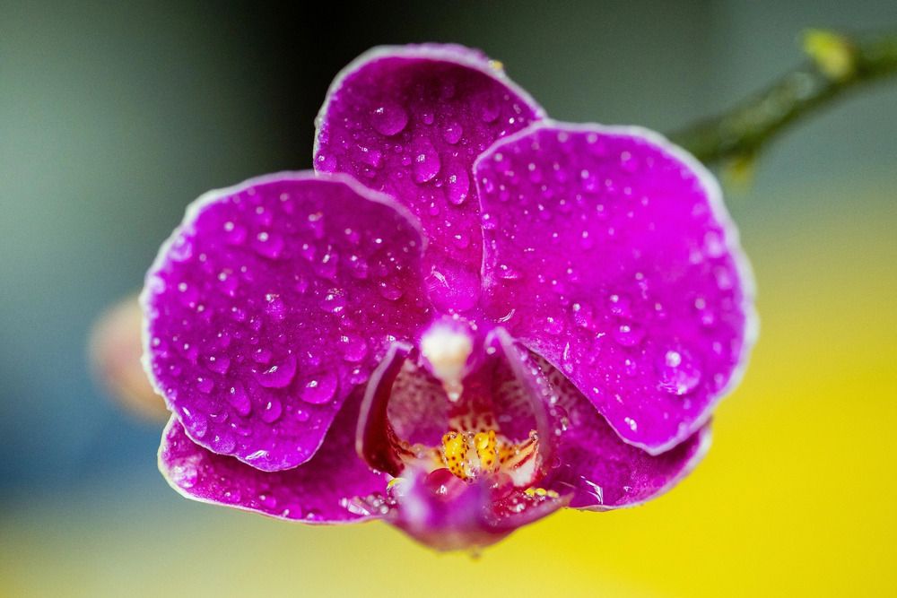 Photograph by Людмила Михеева