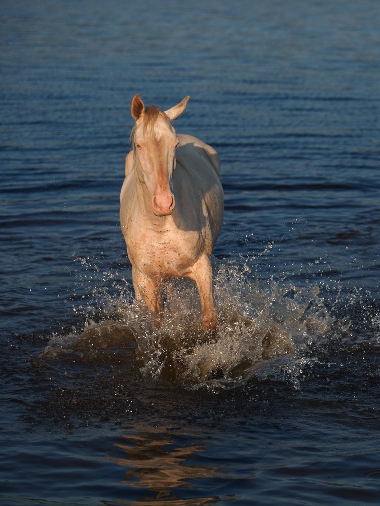 Photograph by Лолита Богачева