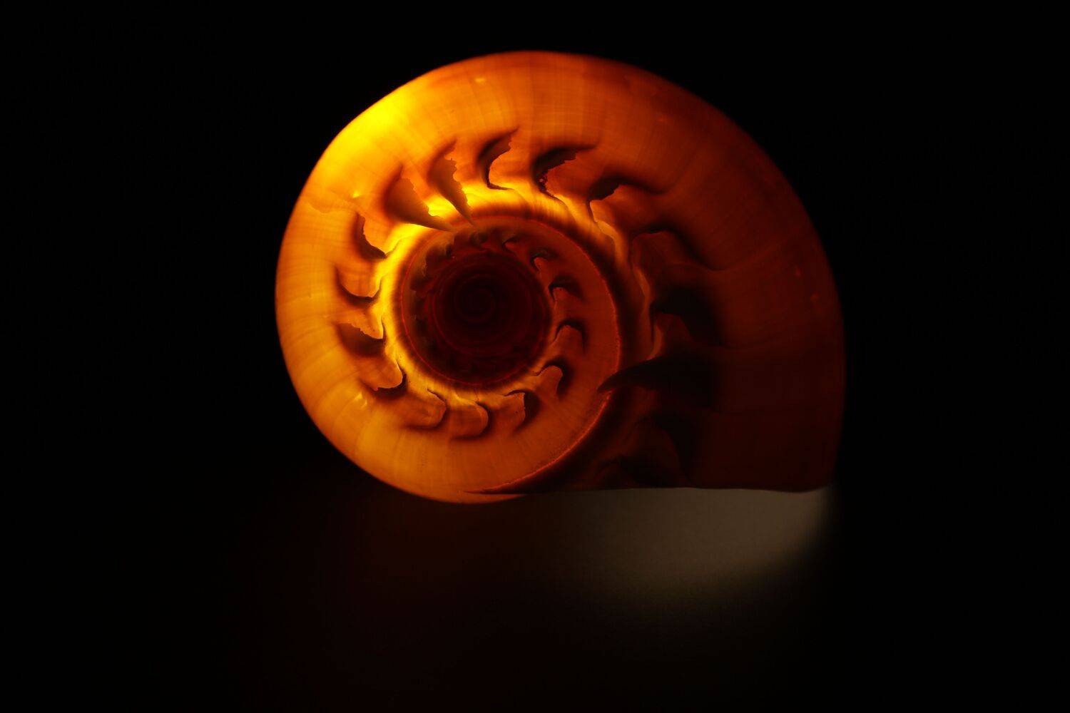 The Inner Glow of Geometry