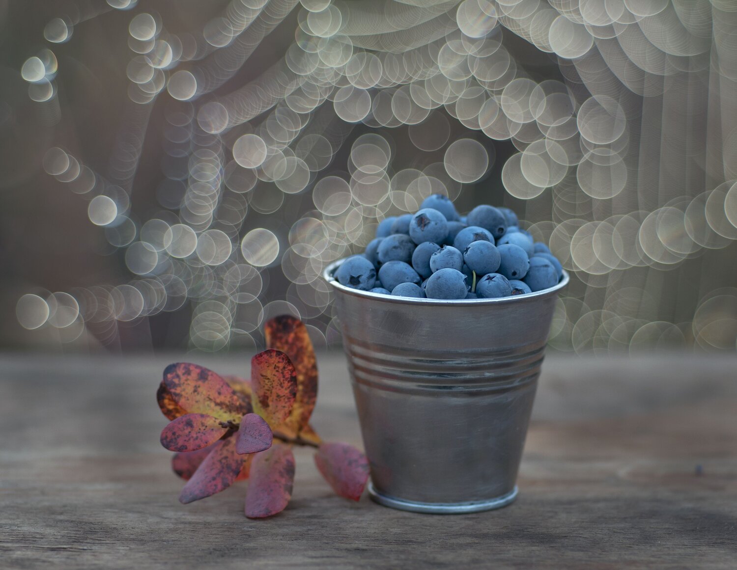 Photo #13677047