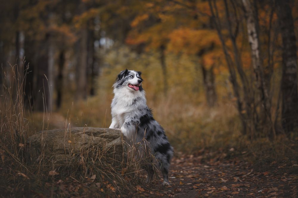 Photograph by Яна Нарбутович