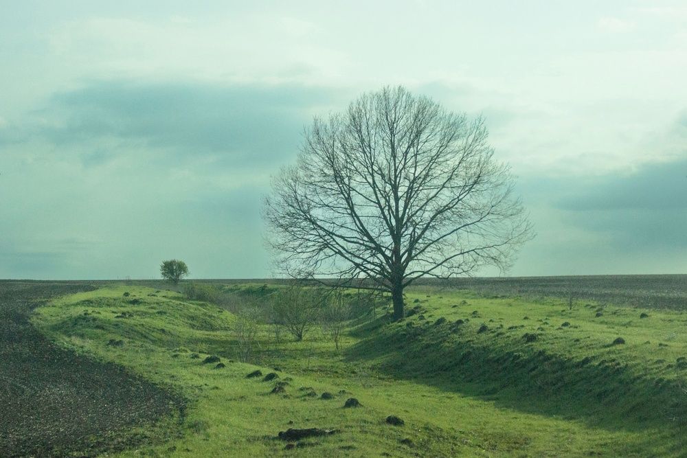 Photograph by Елена Ибрагимова