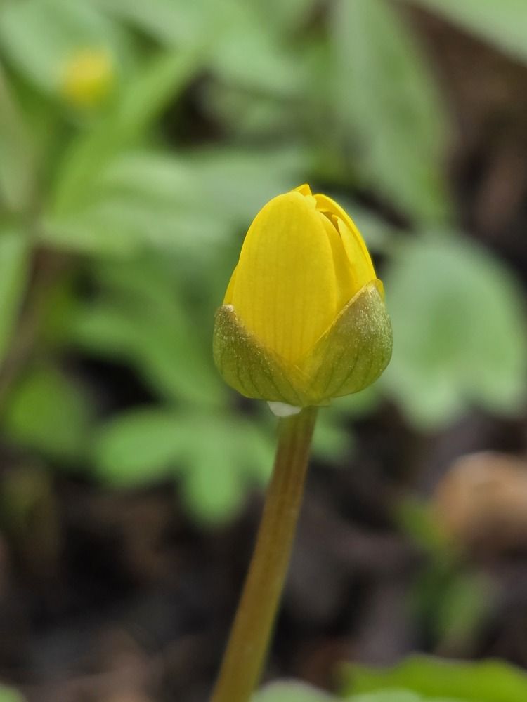 Photograph by Елена Ибрагимова