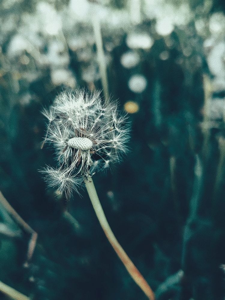 Photograph by Наталья Веряскина