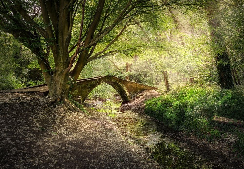 Pack bridge