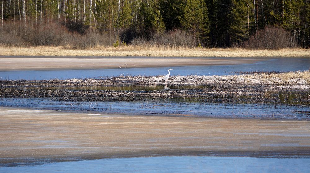 Photograph by Галина Лубянникова