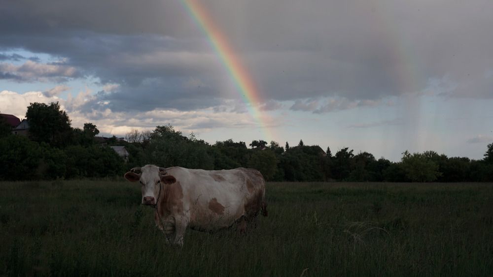Photograph by Владислав Баранов