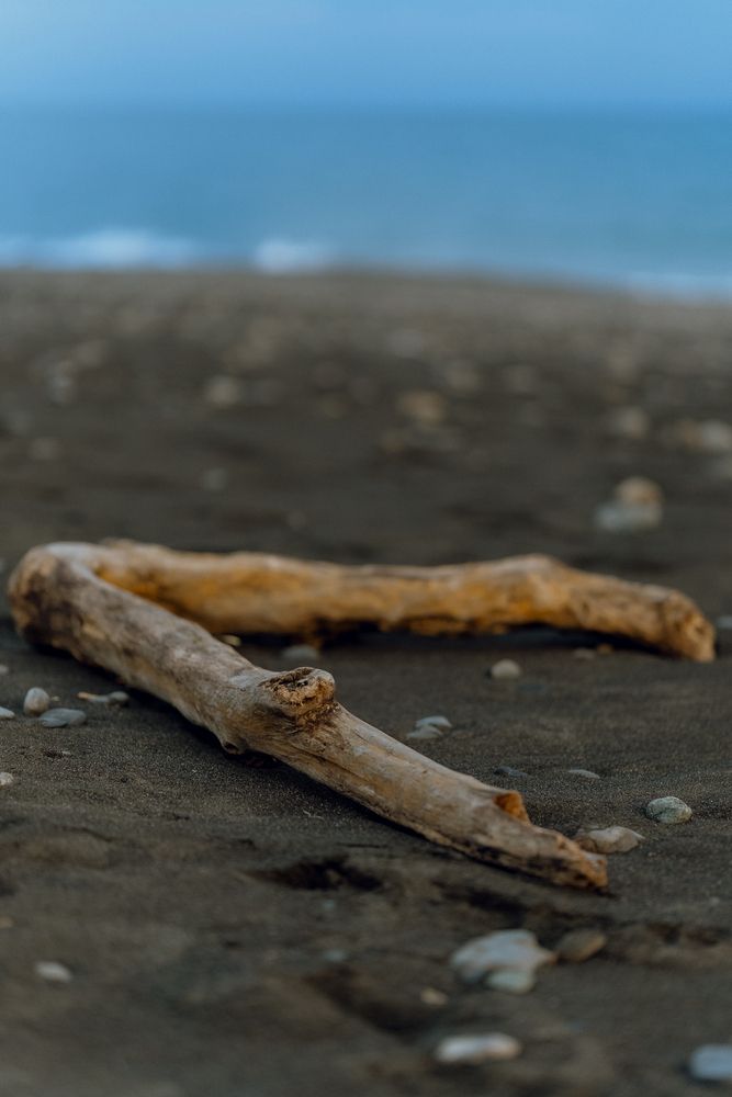 The lingering scent of memories