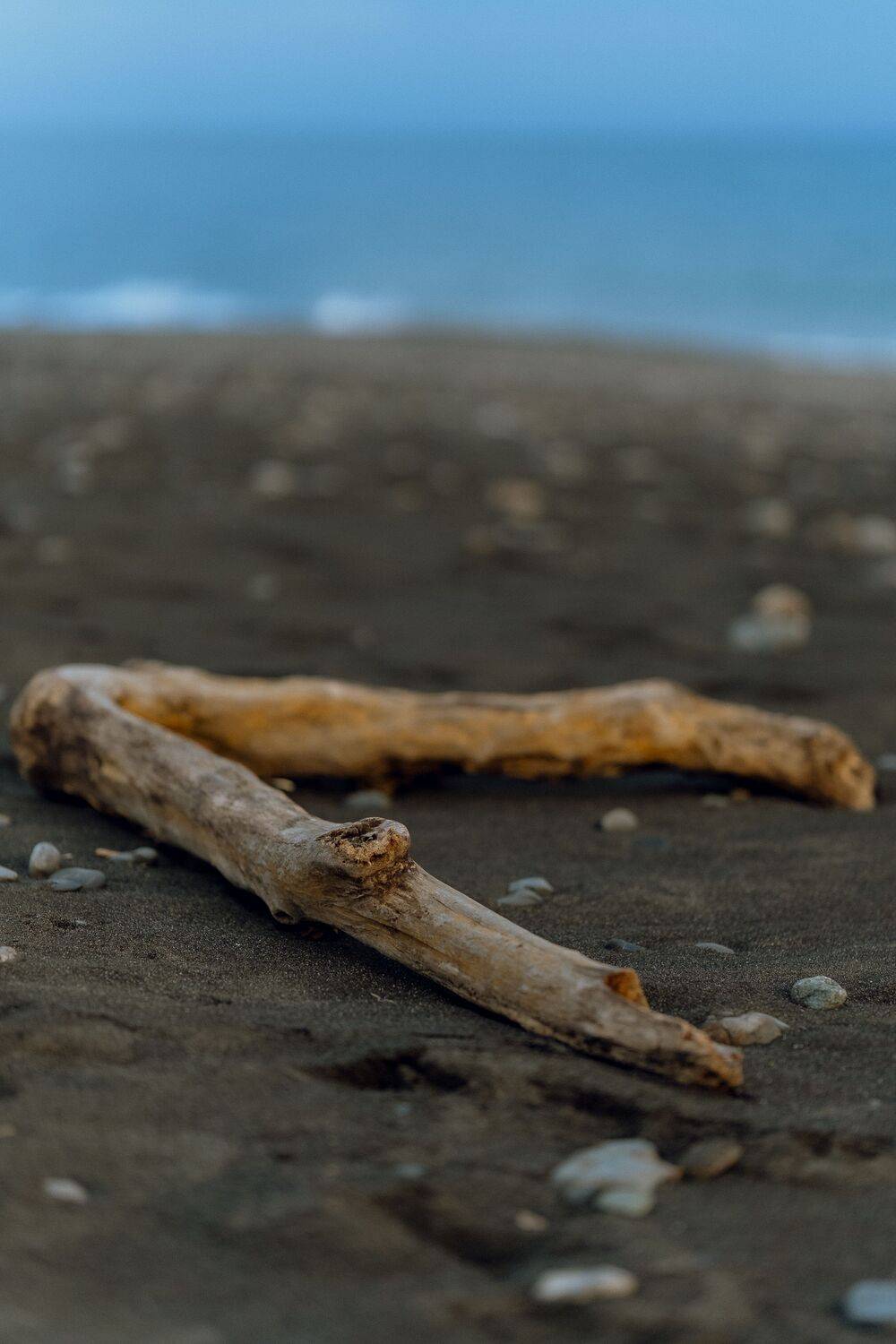 The lingering scent of memories