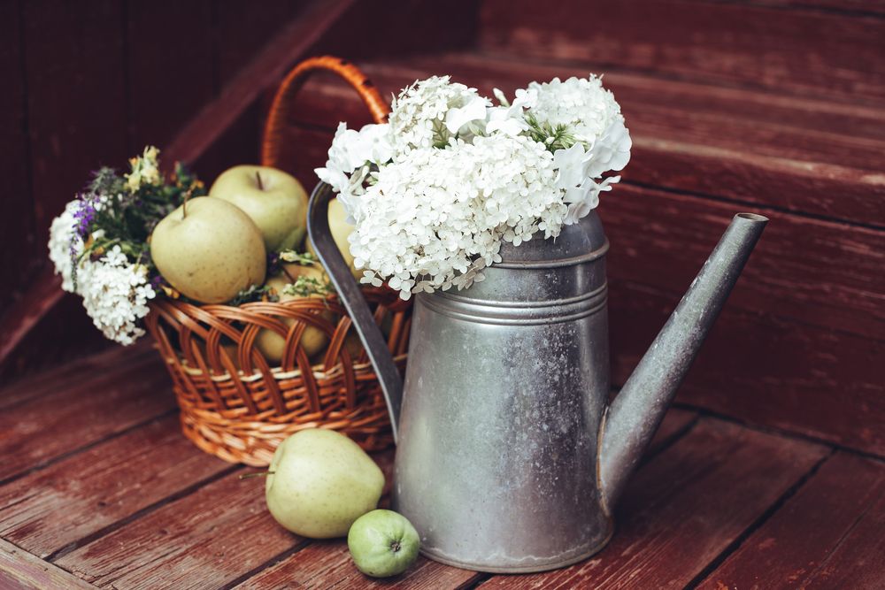 Photograph by Екатерина Обухова